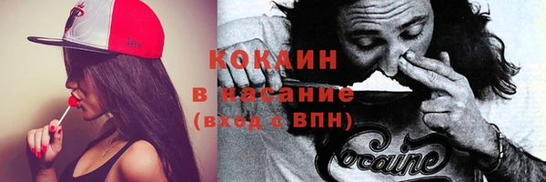 прущая мука Инсар