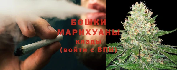 хмурый Инта