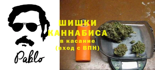 хмурый Инта