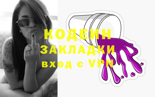 хмурый Инта