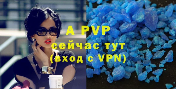 хмурый Инта