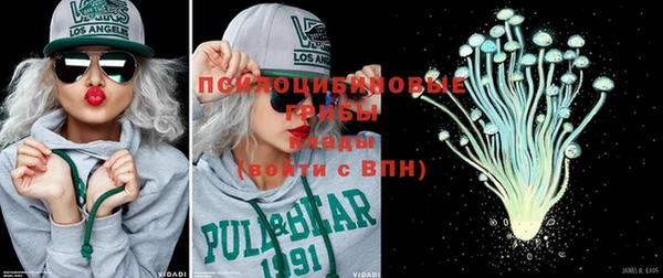 прущая мука Инсар