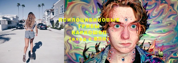 прущая мука Инсар