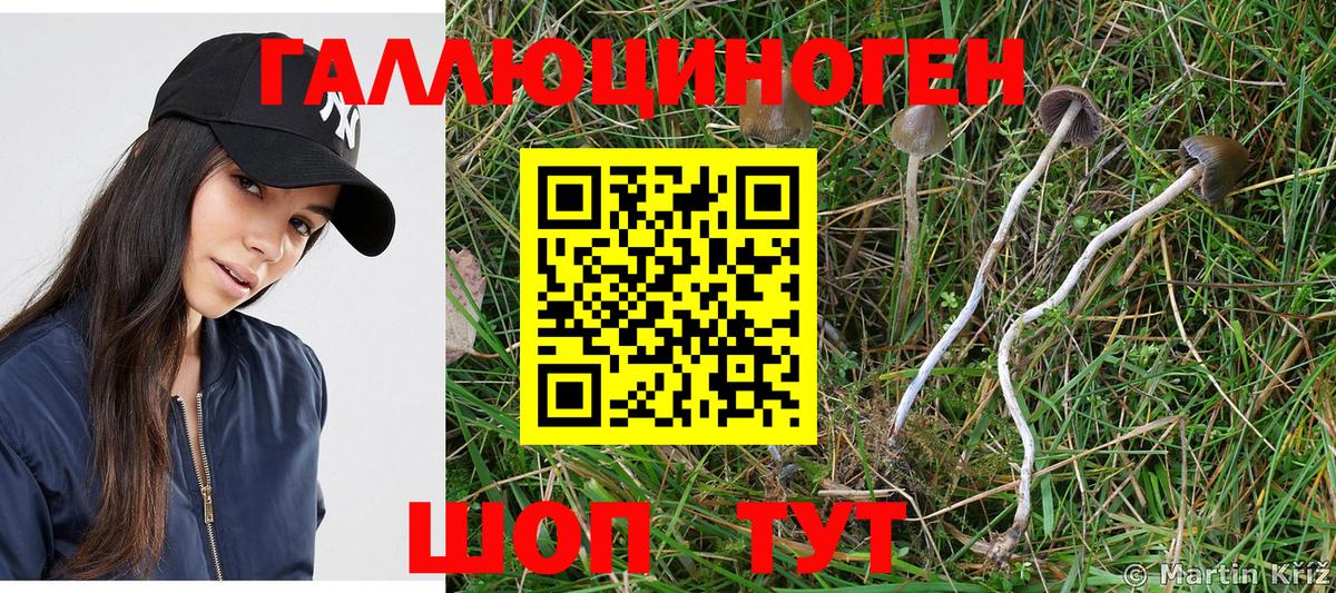 Галлюциногенные грибы Magic Shrooms  Вход с VPN  Псилоцибиновые грибы MAGIC MUSHROOMS  Керчь 