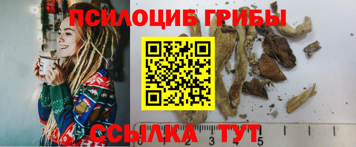Галлюциногенные грибы Magic Shrooms Керчь